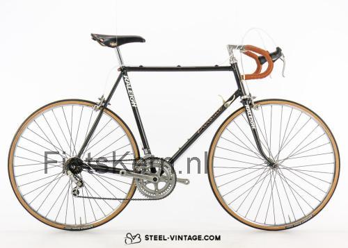 Raleigh Pursuit specificaties